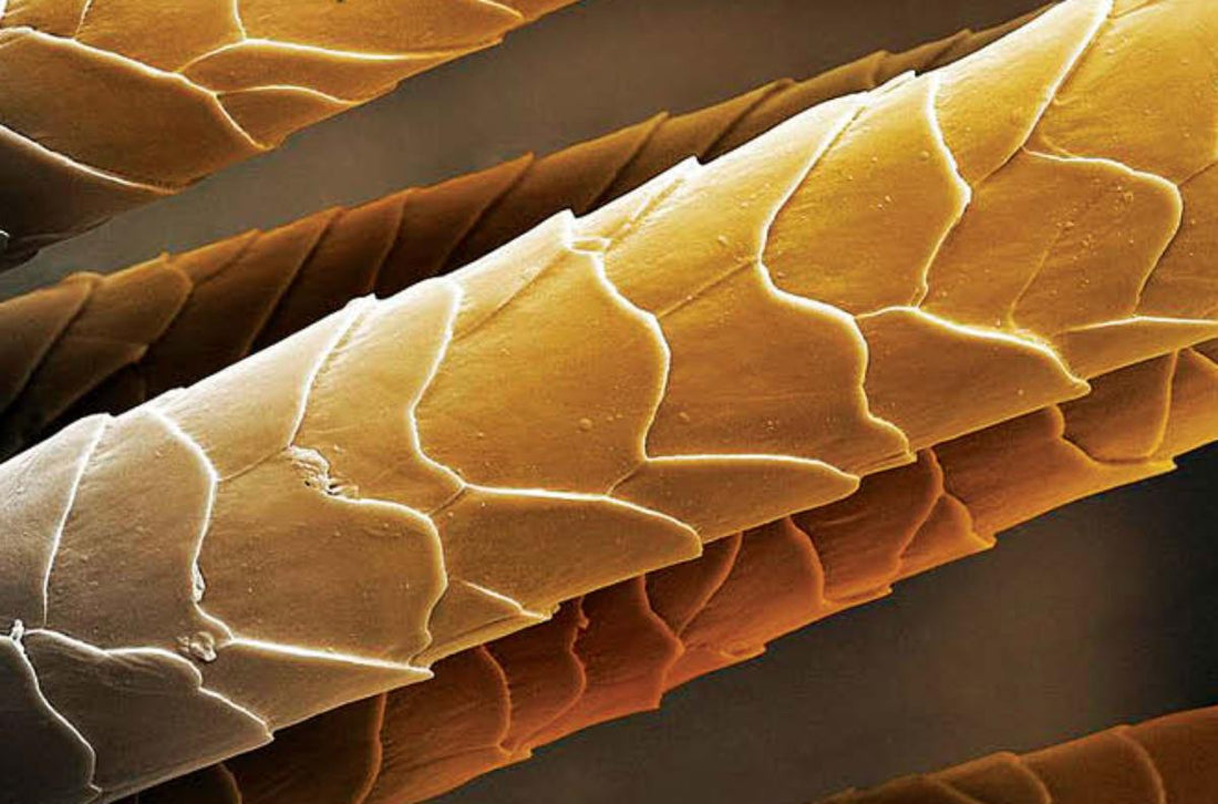 The Science Behind Long-Lasting Human Hair Wigs: Materials, Durability and Quality Explained